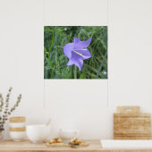 Poster Campanule (Cuisine)