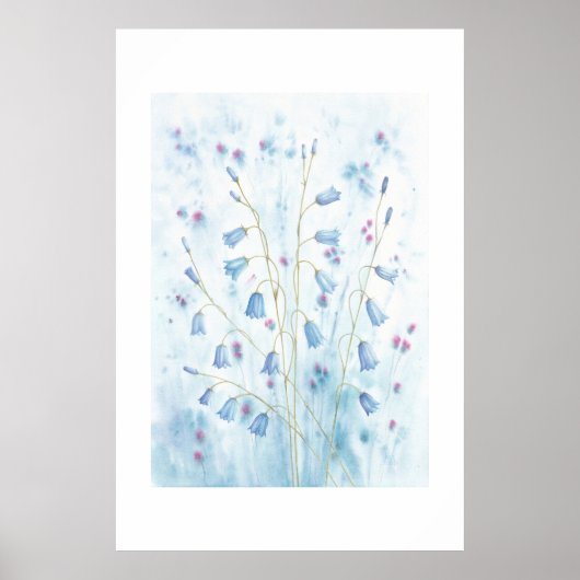 Poster Campanules (Devant)