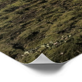 Poster Camping Alftavatn (Coin)