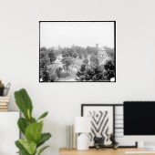 Poster Campus, Amherst College, Amherst, Massachusetts c1 (Bureau à domicile)