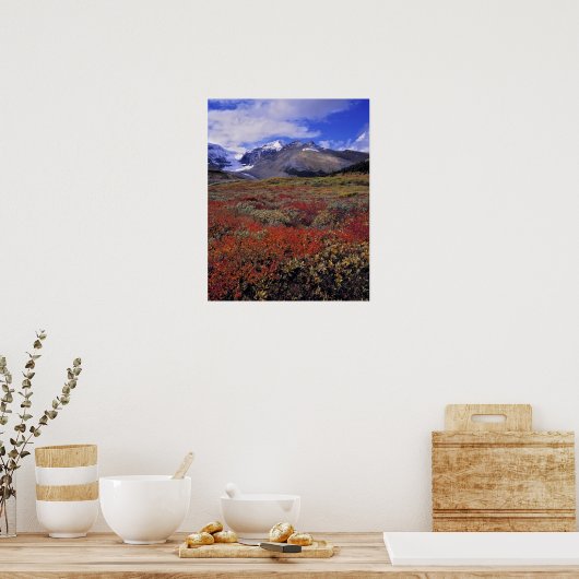 Poster Canada, Alberta, Banff NP. Les Huckleberries fourn (Cuisine)