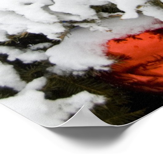 Poster Canada, Alberta, Jasper, Jasper NP. Fairmont 2 (Coin)