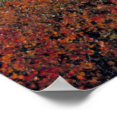 Poster Canada, Alberta, Parc national de Banff. Les airel (Coin)