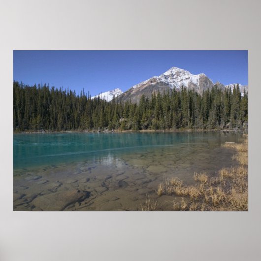 Poster Canada, Alberta, parc national de Jasper : JASPER, (Devant)