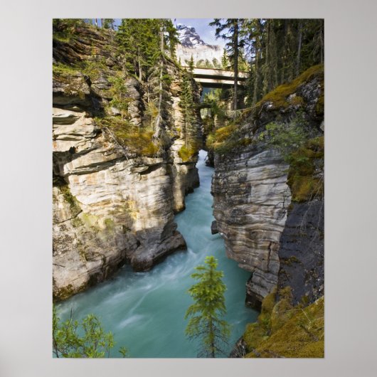 Poster Canada, Alberta, Parc national Jasper, Athabasca 2 (Devant)