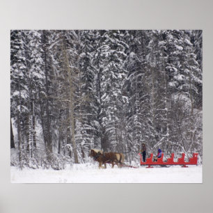 Poster Canada, Banff. Promenades en traîneau aux écuries