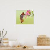 Poster Canada, Colombie-Britannique, Colibri roux (Cuisine)