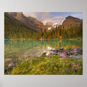 Poster Canada, Colombie-Britannique, Parc national de Yoh