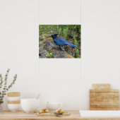 Poster Canada : Colombie-Britannique, parc national Yoho, (Cuisine)
