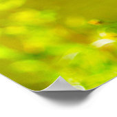 Poster Canada Goose (Coin)