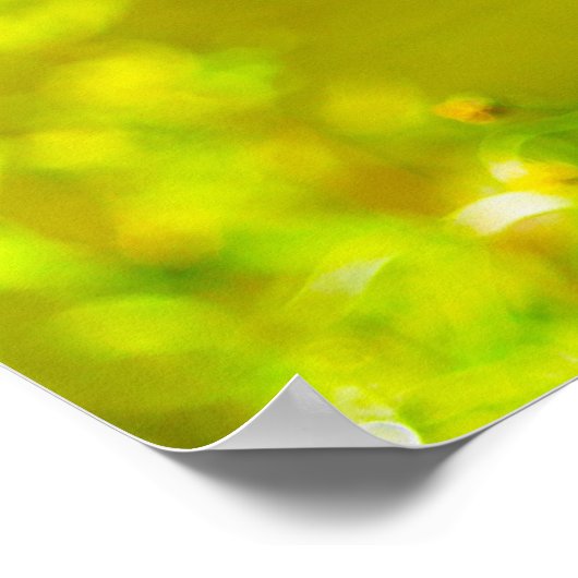 Poster Canada Goose (Coin)