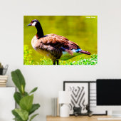 Poster Canada Goose (Bureau à domicile)