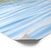 Poster Canada Goose (Coin)