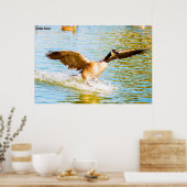 Poster Canada Goose (Cuisine)