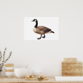Poster Canada Goose (Cuisine)