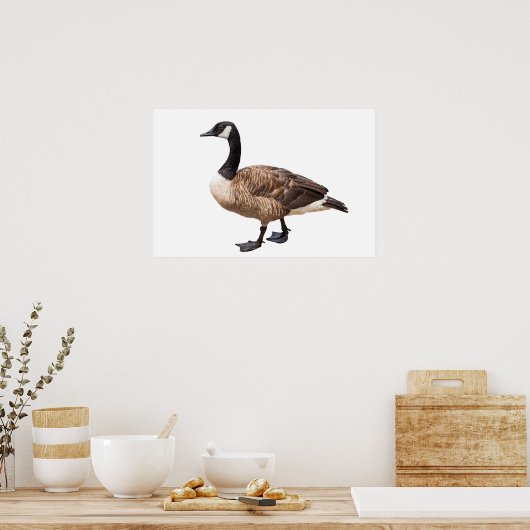 Poster Canada Goose (Cuisine)