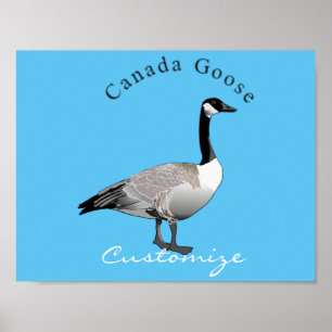 Poster Canada Goose