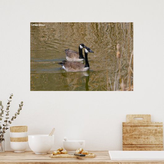 Poster Canada Goose (Cuisine)