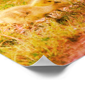 Poster Canada Goose Baby Faune Art (Coin)