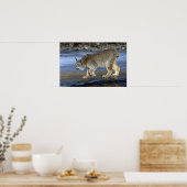 Poster Canada lynx, hiver (Cuisine)