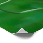 Poster Canada, Nouveau-Brunswick, , 2 (Coin)