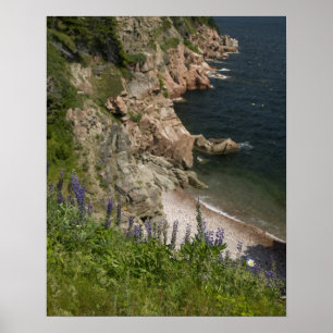 Poster Canada, Nouvelle-Écosse, île du Cap-Breton, Cabot