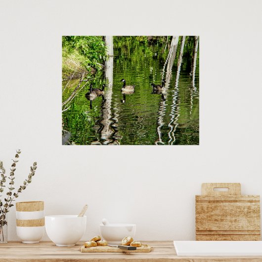 Poster (Canada) Oie verte (Cuisine)