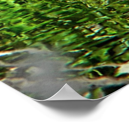 Poster (Canada) Oie verte (Coin)