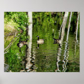 Poster (Canada) Oie verte (Devant)