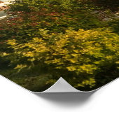 Poster CANADA, Ontario, Thunder Bay : Prince Arthur's (Coin)