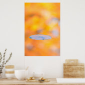 Poster Canada, Québec | Parc de conservation du Mont St-B (Cuisine)