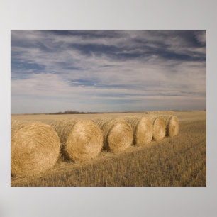 Poster Canada, Saskatchewan, Craik : Rouleaux de foin / A