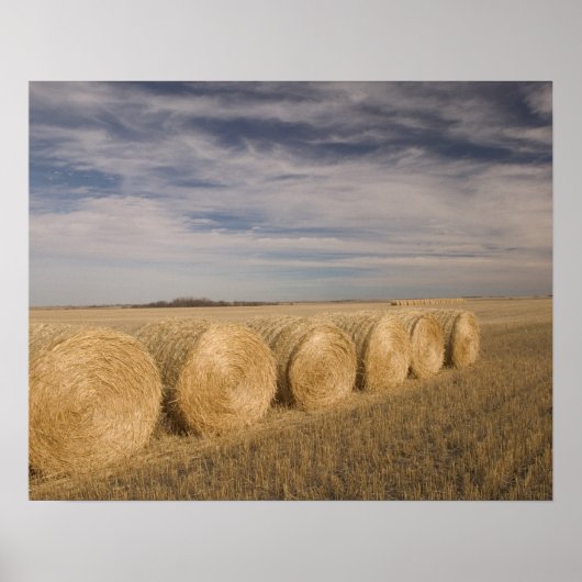 Poster Canada, Saskatchewan, Craik : Rouleaux de foin / A (Devant)