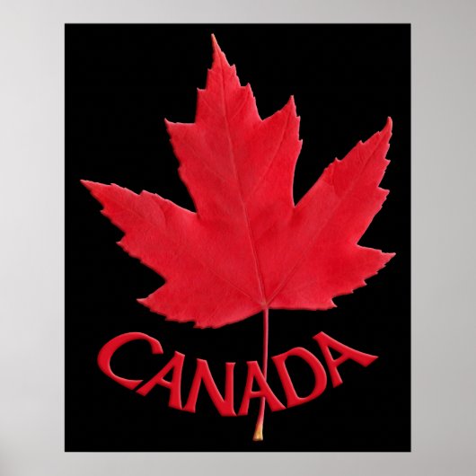 Poster Canada Souvenir Feuille d'érable du Canada  (Devant)