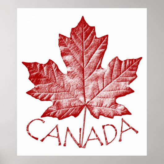 Poster Canada Souvenir Feuille d'érable du Canada  (Devant)