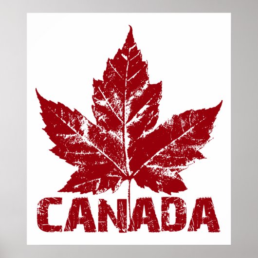 Poster Canada Souvenir Feuille d'érable du Canada  (Devant)
