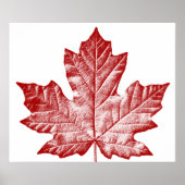 Poster Canada Souvenir Feuille d'érable du Canada  (Devant)