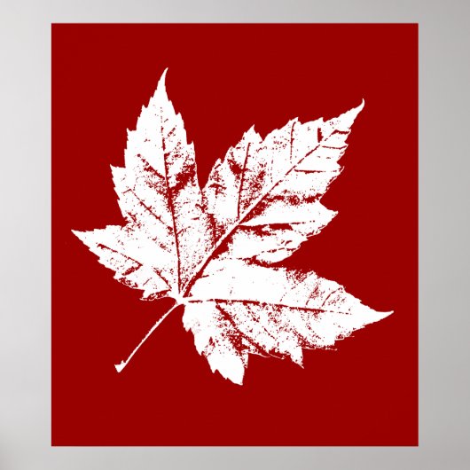 Poster Canada Souvenir Feuille d'érable du Canada  (Devant)