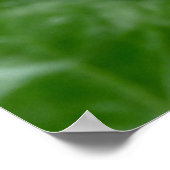 Poster Canada Souvenir Feuille d'érable du Canada  (Coin)