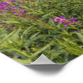 Poster Canada, Yukon, région de Ross River, cabine abando (Coin)