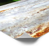 Poster Canadian Lynx Kitten (Coin)