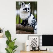 Poster Canadian Marble Fox  (Bureau à domicile)