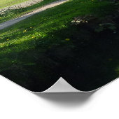 Poster Canal - Bute Park, Cardiff (Coin)