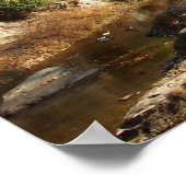 Poster Canal C & O - Great Falls, MD (Coin)