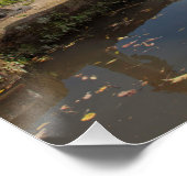 Poster Canal de Montgomery Shropshire Angleterre (Coin)
