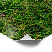 Poster Canal de Rochdale, Luddendenfoot (Coin)