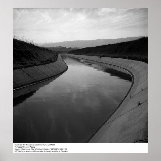 Poster Canal près de UC Davis, 1966 (Devant)