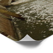 Poster Canal urbain (Coin)