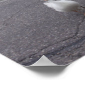 Poster Canard (Coin)