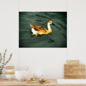 Poster Canard (Cuisine)